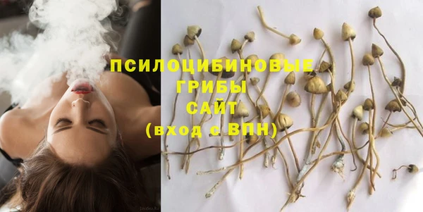 ALPHA PVP Магас