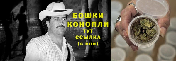молекула духа Майский
