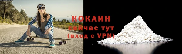молекула духа Майский