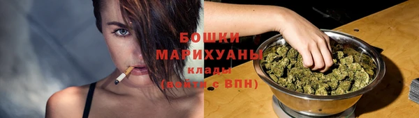 молекула духа Майский