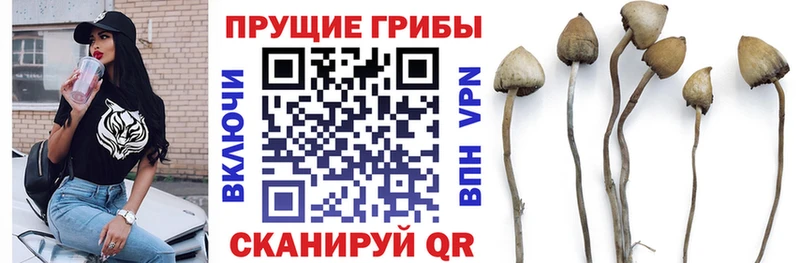 Галлюциногенные грибы ЛСД кракен tor Орск