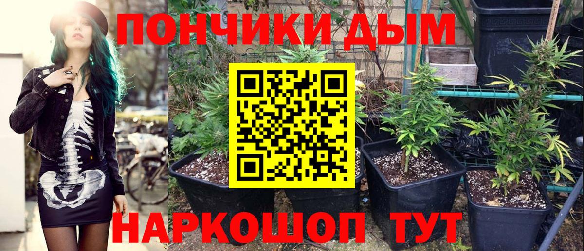 Бошки Шишки тримм  Шишки марихуана LSD WEED  Вход с VPN  Орск  Шишки марихуана индика 